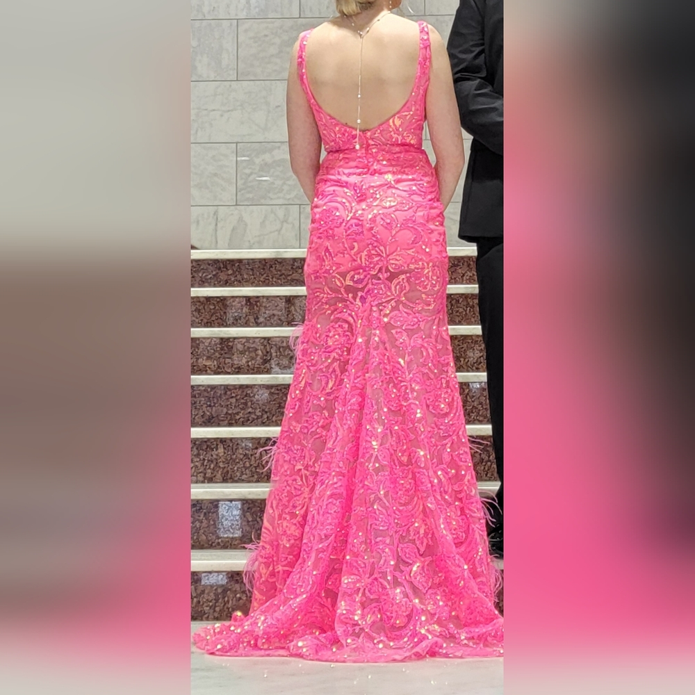 Pink Prom Dress accented with feathers.
